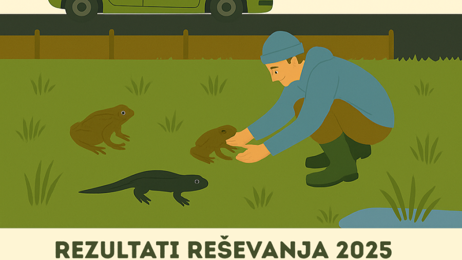 Infografika_reševanje dvoživk 2025 (1)